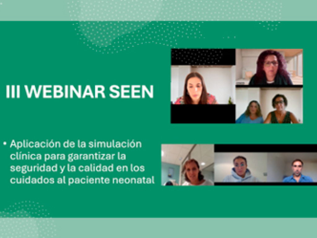 III Webinar SEEN 2024 - Aplicación simulación clínica