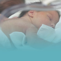 Resolución II Beca para la investigación en el cuidado neonatal SEEN