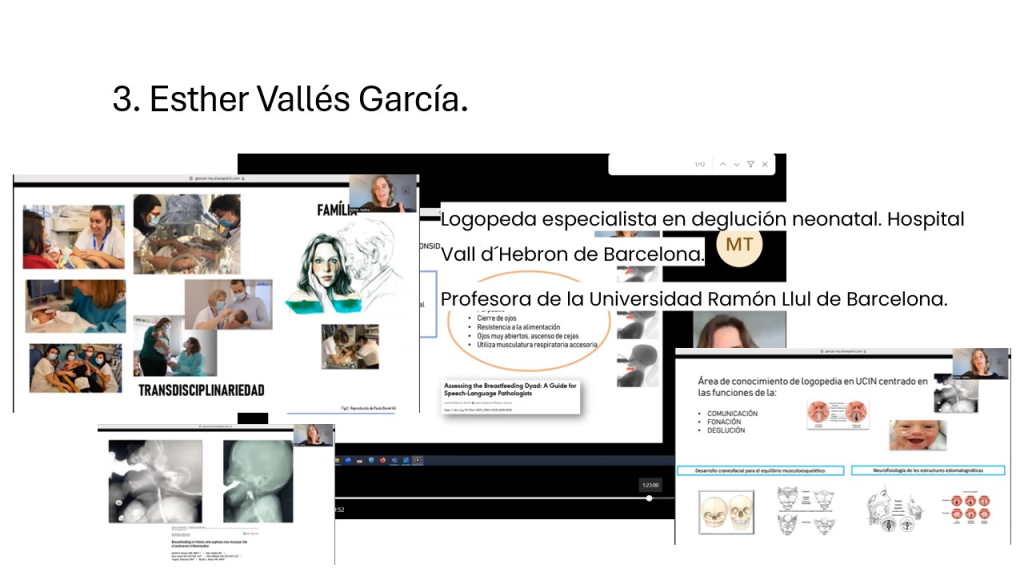 3. Esther Vallés García - Comunicación